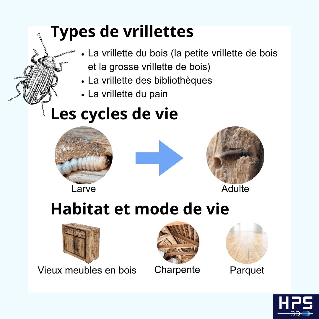Traitement du bois agréé à Lille et Hauts de France