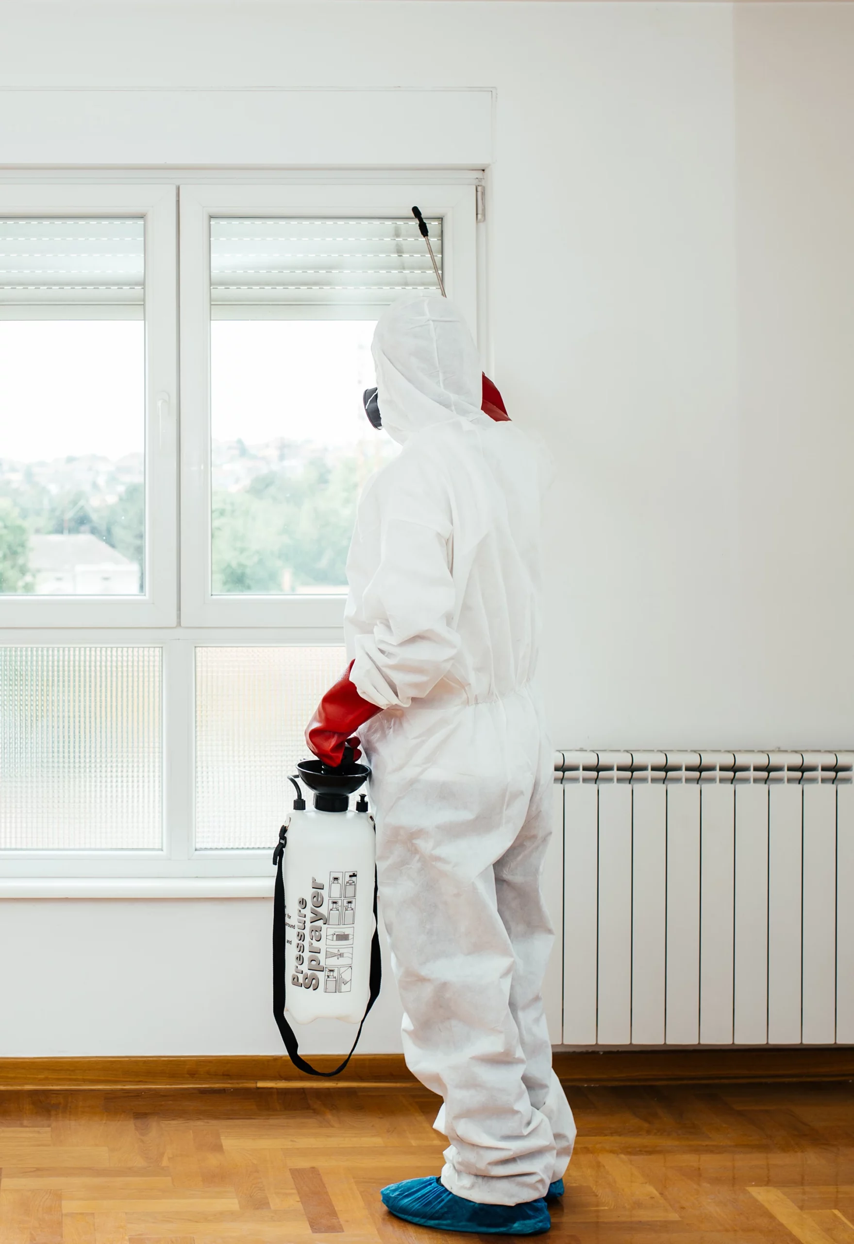 Illustration d’un service professionnel de traitement contre les anthrènes à Lille et Nord-Pas-de-Calais.