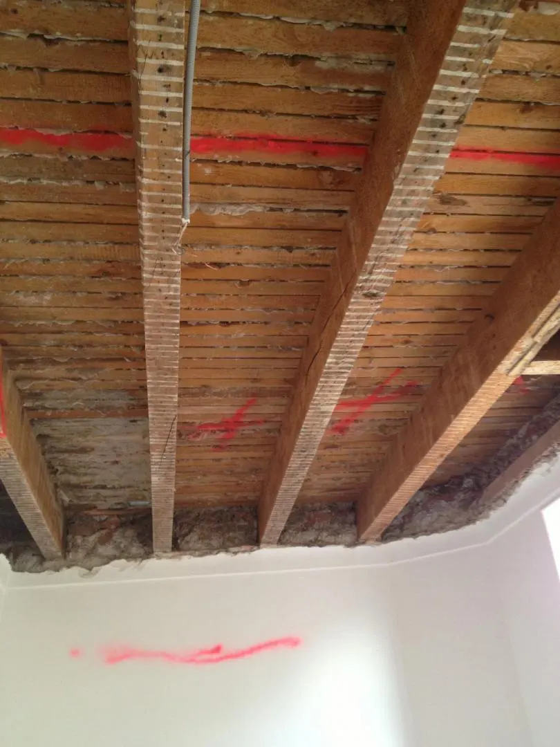 Image représentant un traitement du bois et des charpentes contre les capricornes, vrillettes et termites à Lille et Hauts-de-France.