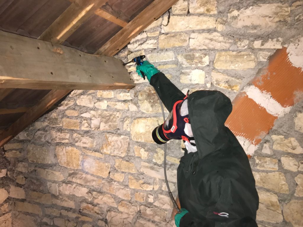 Traitement du boi Lille et Hauts de France